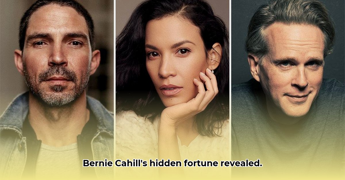 bernie-cahill-net-worth